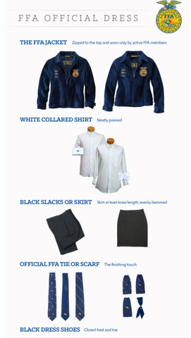 Official dress standards are created