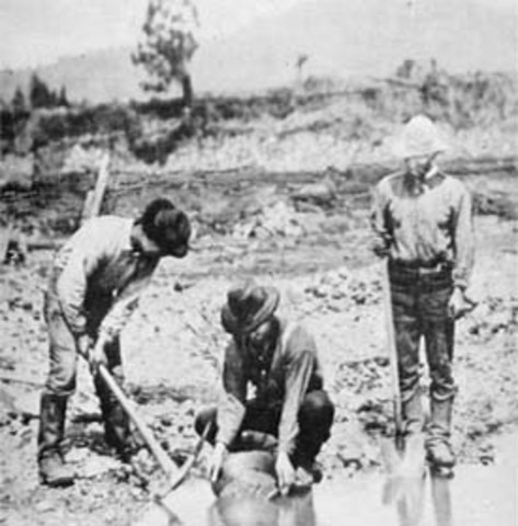 We Receive Much Income