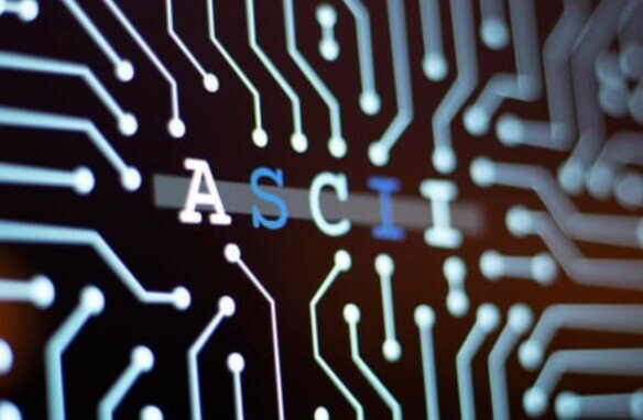 ASCII (American Standard Code for Information Interchange )