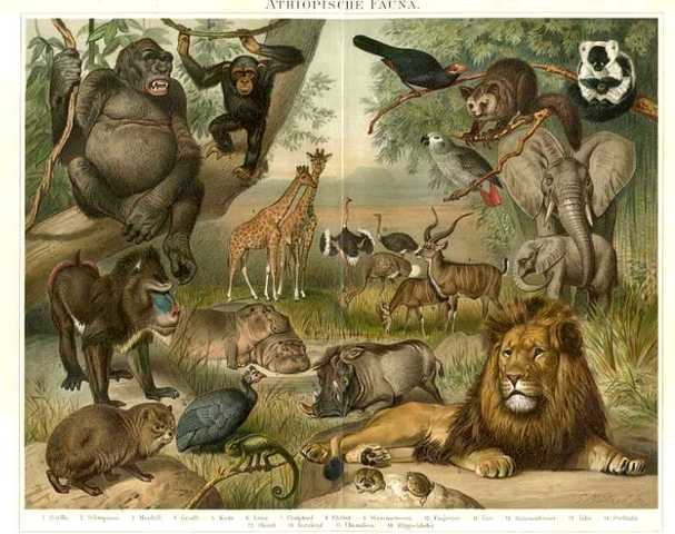 Londres (Gran Bretaña). Convenio Internacional para la protección de la flora y fauna en su estado natural.