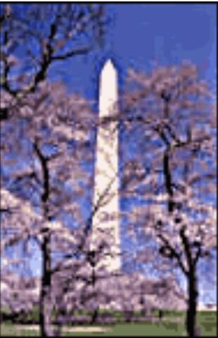 William Howard Taft is inaugurated as the 27th president