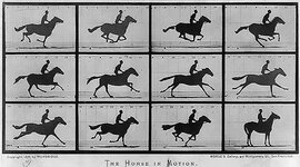 Timeline: Aug 15, 1878. First Motion Picture