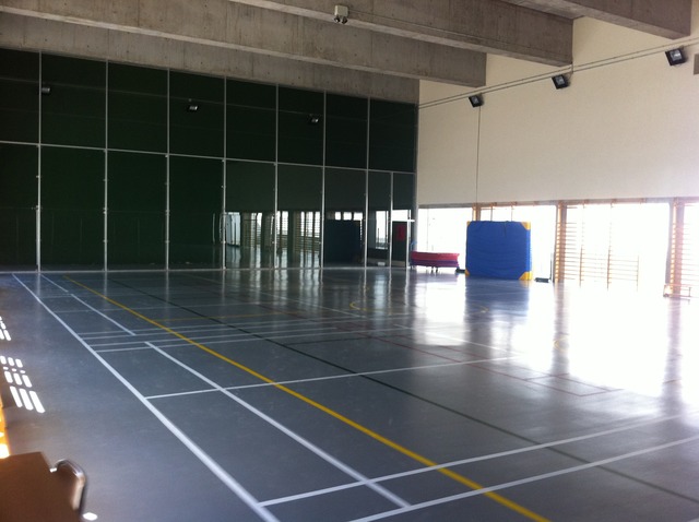 Tema 4: aplicació sessió 1