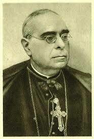 CATALANISME CONSERVADOR - VIGATANISME