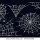 Spider web