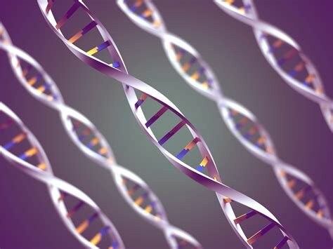 Genetic Information Nondiscrimination Act