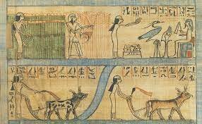 Ontstaan eerste boerendorpen