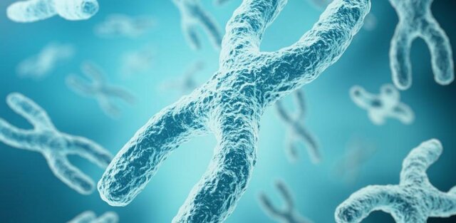 La revolución del estudio del ADN prehistórico