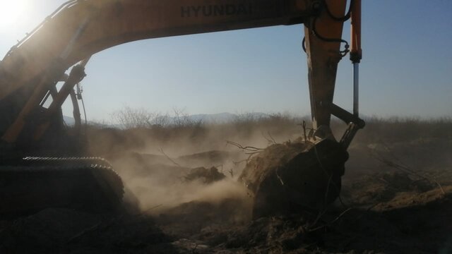 despalme canal australia