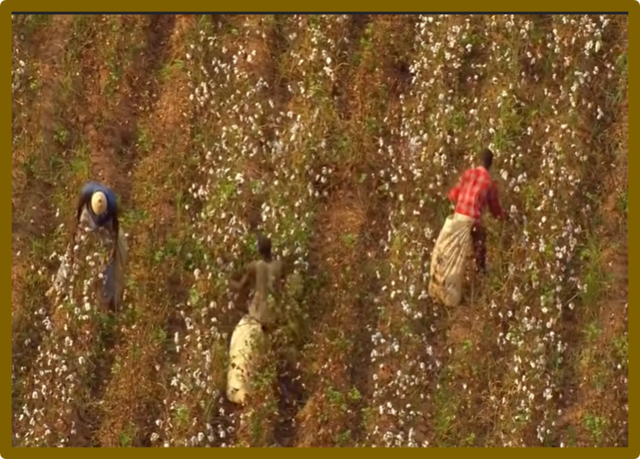 180.000 Necesidad de Alimento para el Hombre