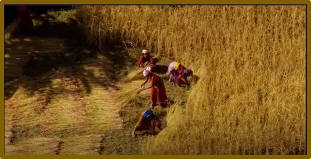 En los años 10.000 A.C Nacimiento de Agricultura, caza y pesca