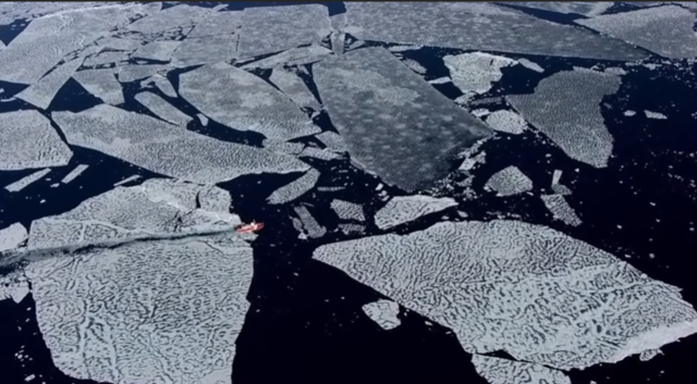 2030 DESAPARICIÓN DE LOS POLOS