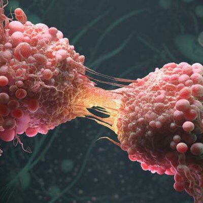 Timeline: Descubrimientos sobre la célula