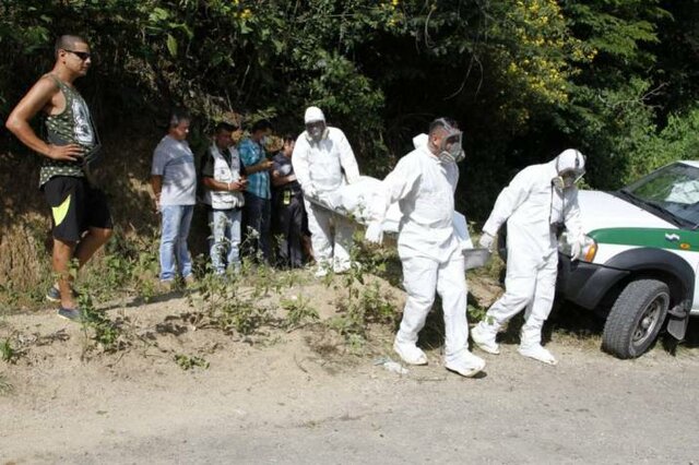 terminar mi carrera profecional