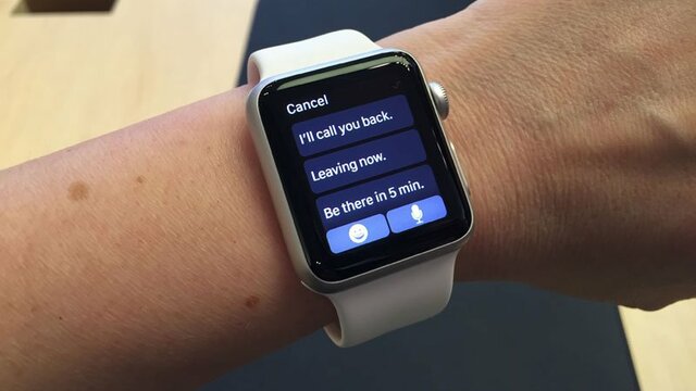 Apples first Apple watch