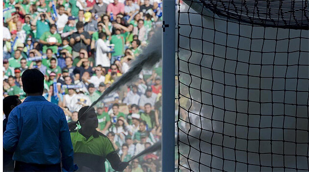 Mèxic- Unes abelles detenen un partit