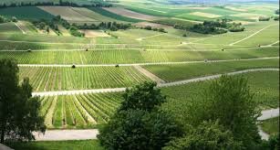 AGRICULTURA INDUSTRIAL