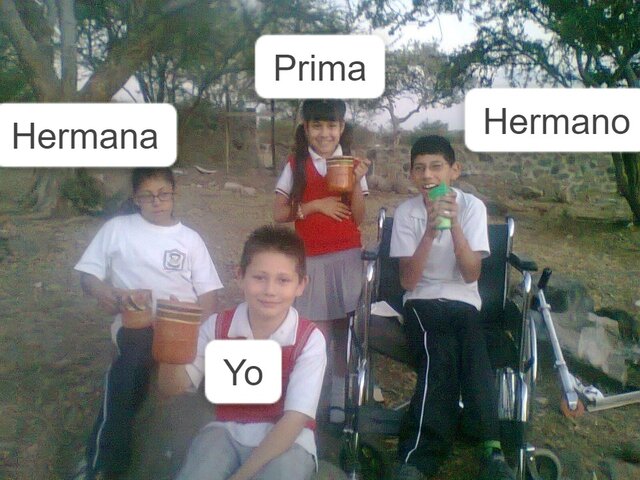 Septimo año de vida