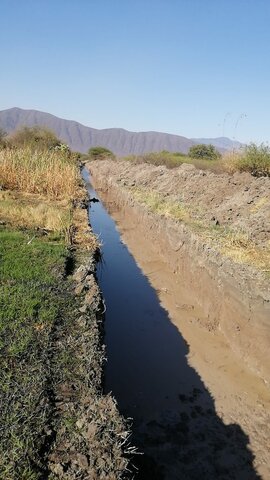 se inician trabajos de excavacion de la zanja en calle Gran Bretaña