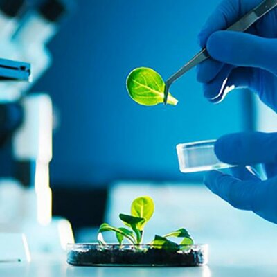 Timeline: Evolución de la ciencia