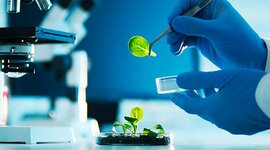 Timeline: Evolución de la ciencia