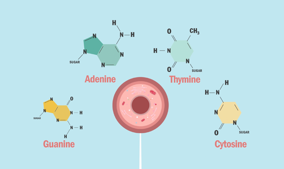 Watson, Crick y la doble hélice de ADN