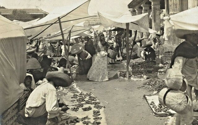 Formalización del mercadeo.