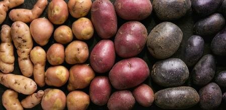 Línea del tiempo de la nutrición.