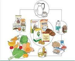 Línea del tiempo de la nutrición