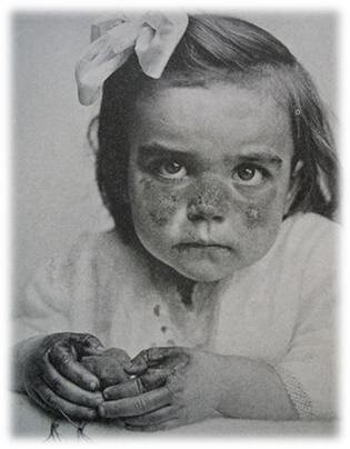 Línea del tiempo de la nutrición