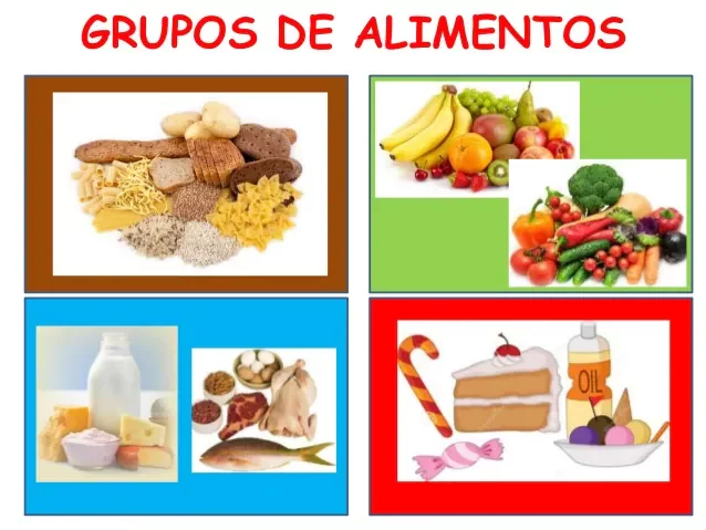 Línea del tiempo de la nutrición