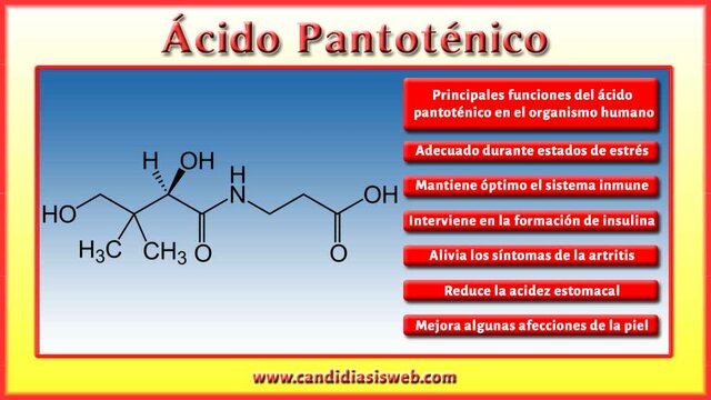 Línea del tiempo de la nutrición