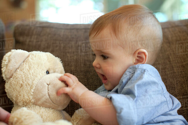 Searches for partially hidden objects- Semantics