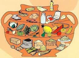 Línea del tiempo de la nutrición