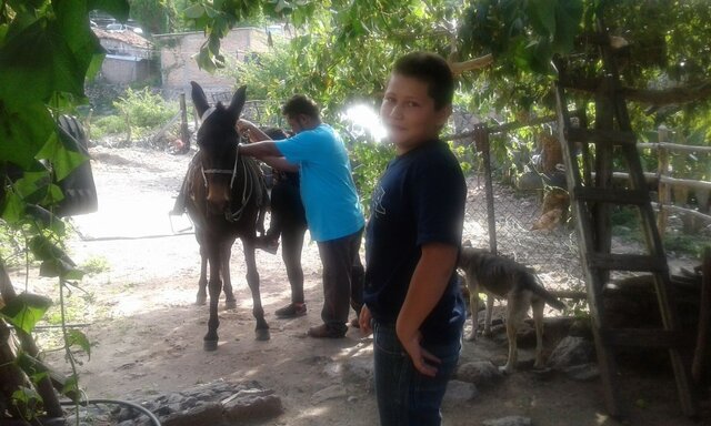 En la historia de mi vida hay paginas arrancadas...