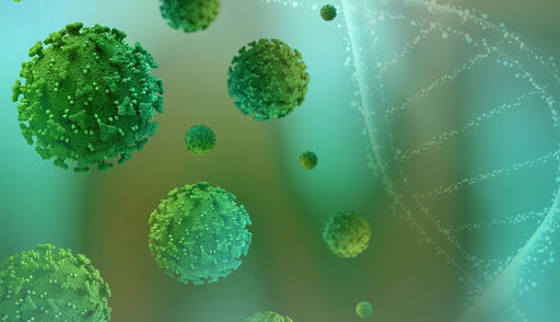 Convenio para la Diversidad Biológica (CDB)