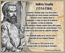 Andrés Vesalio (1511-1564)