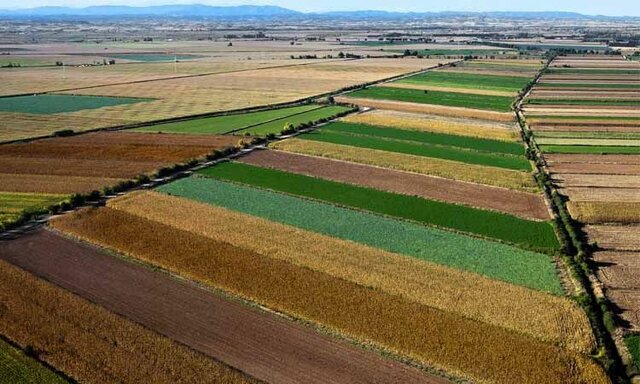 Lord Townshend introduce el sistema Norfolk en la agricultura