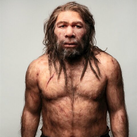 Homo sapiens