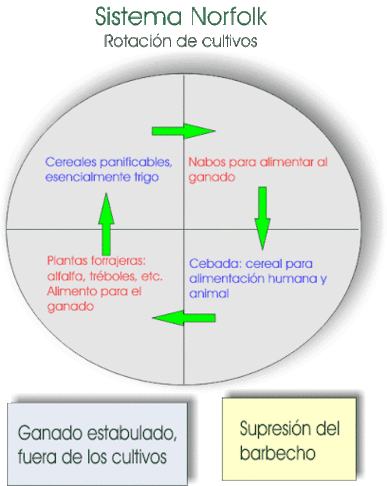 Lord Townshend introduce el Sistema Norfolk en la agricultura.