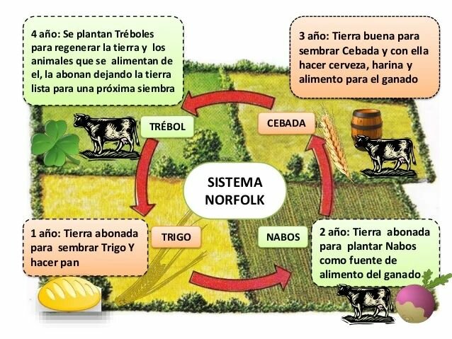Lord Townshend introduce el Sistema Norfolk en la agricultura