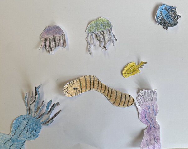 BATTERI, MOLLUSCHI, UCCELLI