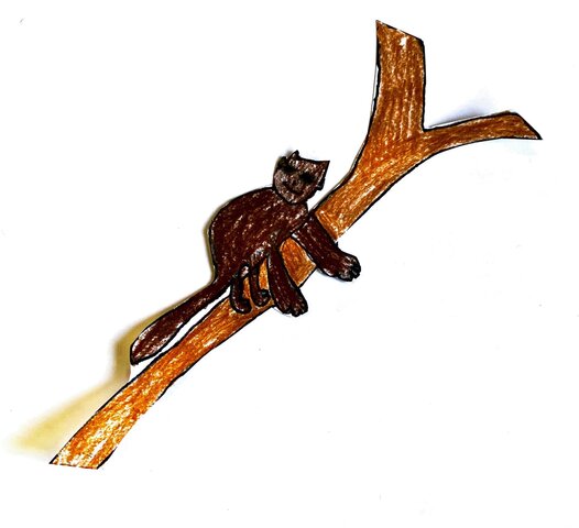 SI DIFFONDONO ED EVOLVONO I PICCOLI MAMMIFERI