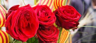 Concurs literari de primaria