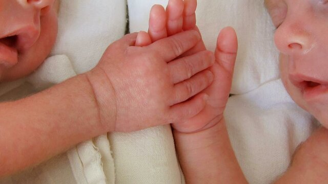 Va néixer la meva germana