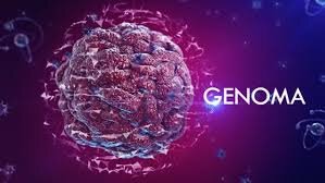 Se describe la toltequidad del genoma humano conformado por 36,000 genes