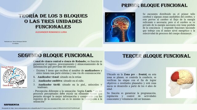 Alexander Romanovich Luria (1907-1977)