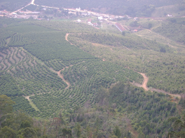Viagem para Serra Negra-SP (Marcello)