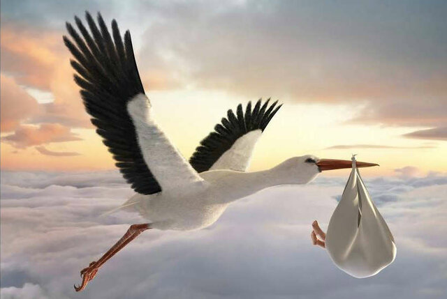 Va néixer la meva cosina