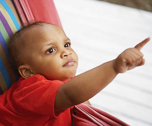 Pointing with a Purpose - Pragmatics